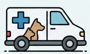 icono analisis a domicilio