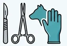 icono cirugías y necropsias