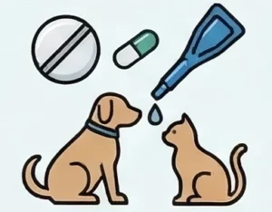 icono plan de salud integral